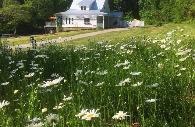 Featherstone FARMHOUSE 2 OR 3 Bedrooms - Perfect for Groups- 2.5 mi. Hville