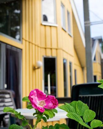 Ferienhaus Mirow 66