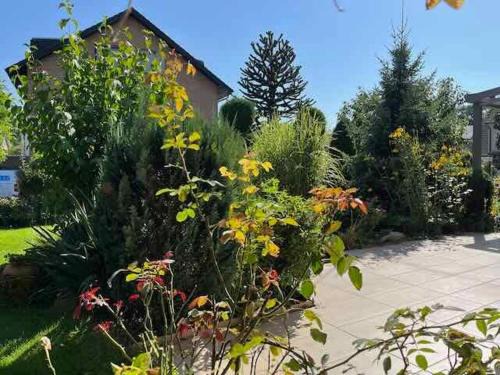 Ferienhaus mit Terrasse und Garten