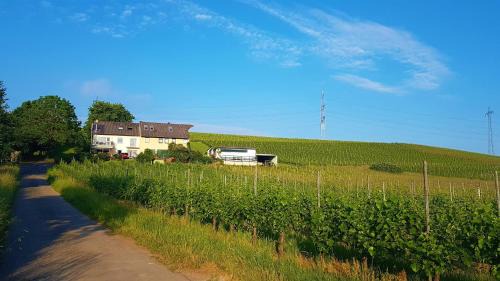 Ferienwohnung "Auf Plandert"
