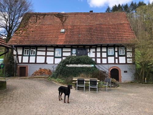Ferienwohnungen Hanst