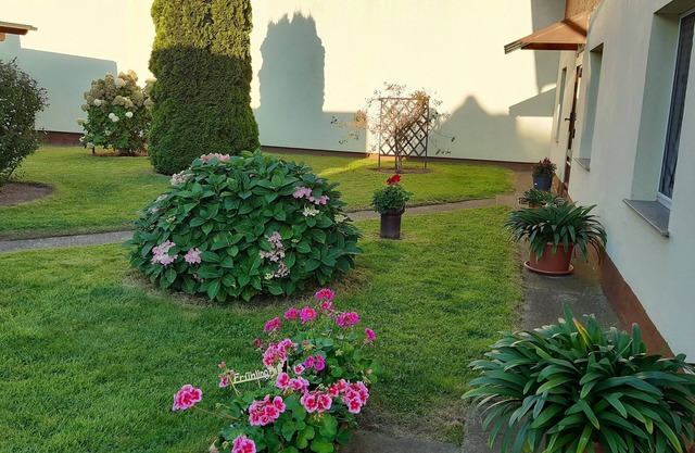 Ferienwohnungen Peters - Ferienwohnung