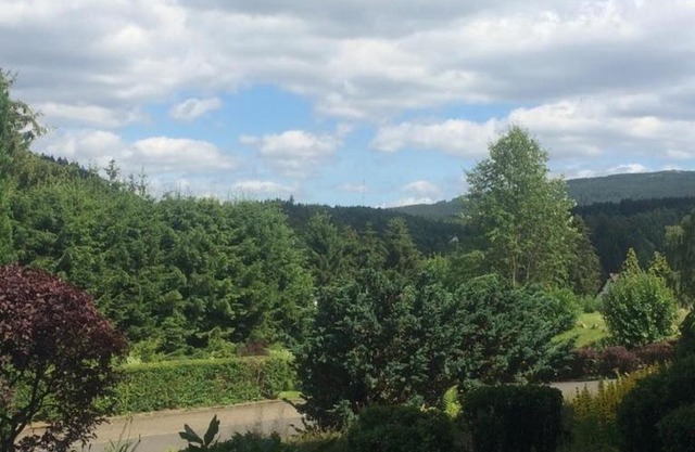 FeWo Eulennestchen-Harz