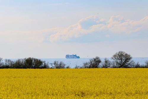 Fewo Kleine Meeresbrise/Villa Christine