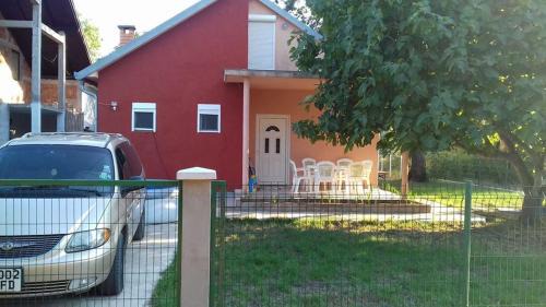 Fig Tree House