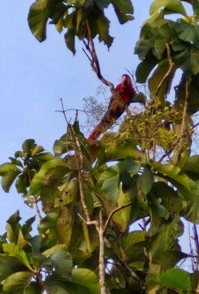 Finca emperatriz
