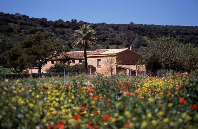 Finca Es Mayolet