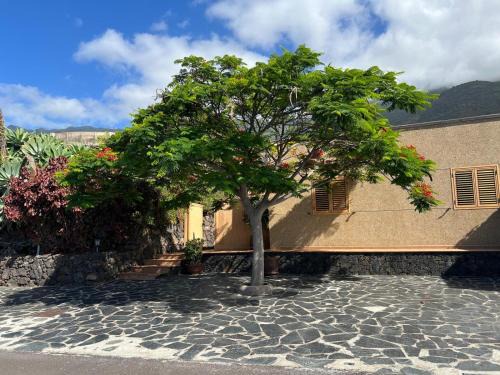 Finca Morales