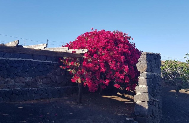 Finca Relax, Sea View, Oasis Vasiliko, La Asomada