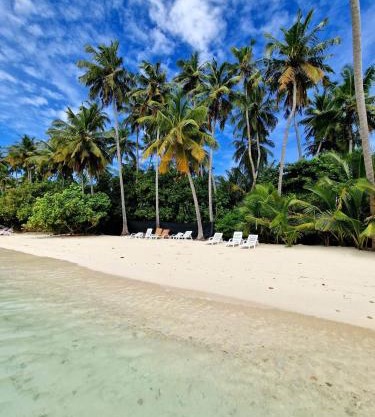 Finolhu Beach Guest House
