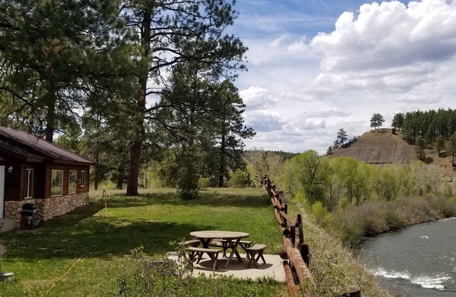 Fish the San Juan River