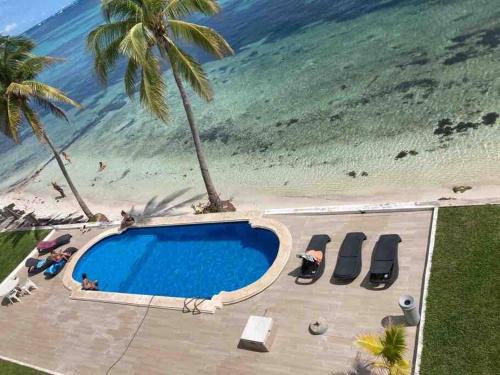 Flamingo by Andiani Travel