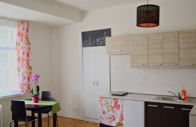 Flower - modern apartment in the center of Prague (Nusle) with art exhibition