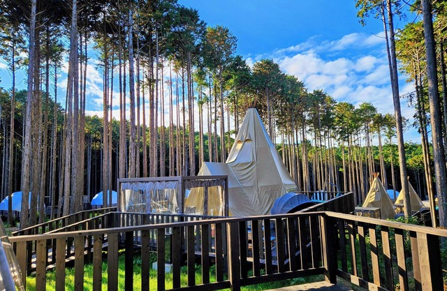 Forest Glamping Kanade no Mori Resorts