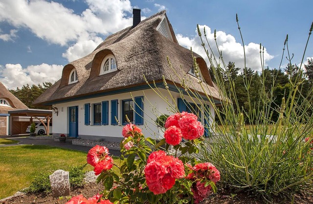 Forsthaus, exclusive 5-star thatched house for 6 Pers.in Fuhlendorf w. Sauna/fireplace