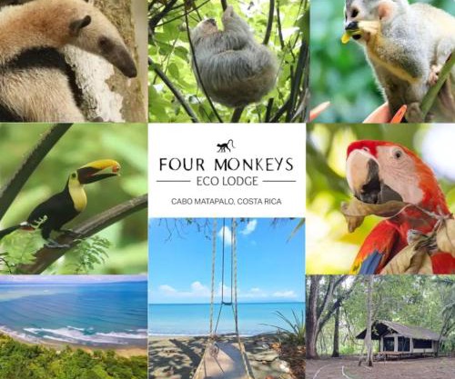 Four Monkeys Eco Lodge - Jungle & Beach