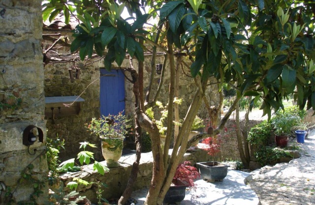 Vacation home 14 pers 7ch. authentic Mas cévenol, wooded park, near Anduze