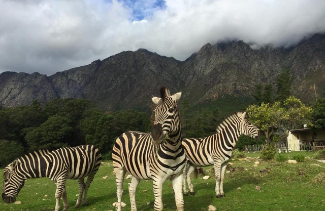 Franschhoek Country Cottages