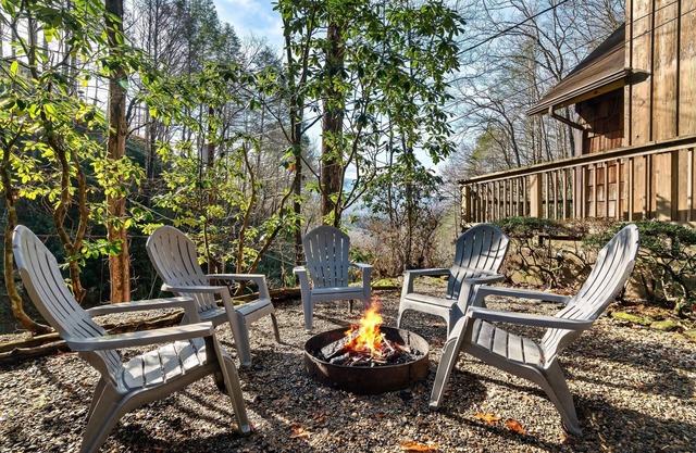 Free Dollywood Tix/Views/Dog Friendly/PoolTable