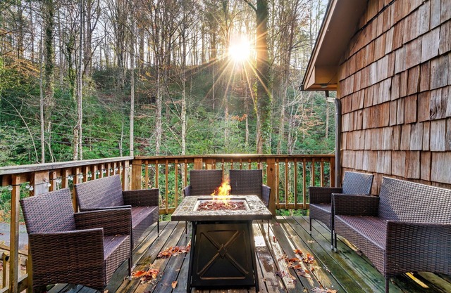 Free Dollywood Tix/Spacious/Dog Friendly/Firepit