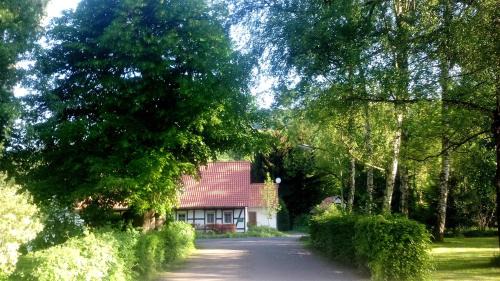 Fuchsrevier Fox District Apartment