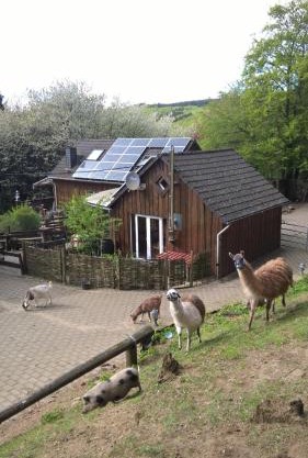 Funny-Farm