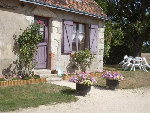 Gîte charmant avec cheminée à Saint-Lubin-en-Vergonnois, animaux acceptés - FR-1-491-388