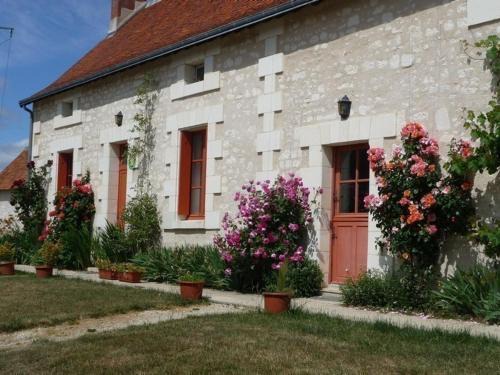 Gîte en Touraine avec cheminée et jardin près de Loches - FR-1-381-40