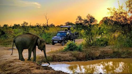 Gajaa Corido Safari Homestay