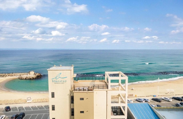Gangneung Bluestay
