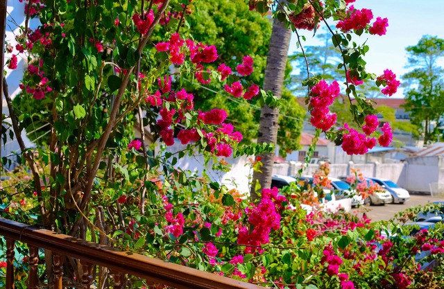 Garden Lodge