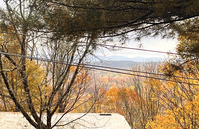Gas Fireplace, Comfortably sleeps 6, and Walk to Beech Mountain Resort!