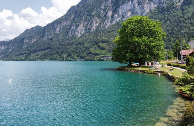 Gemütliche Komplett Ausgestattete Ferienwohnung 5 Km von Interlaken