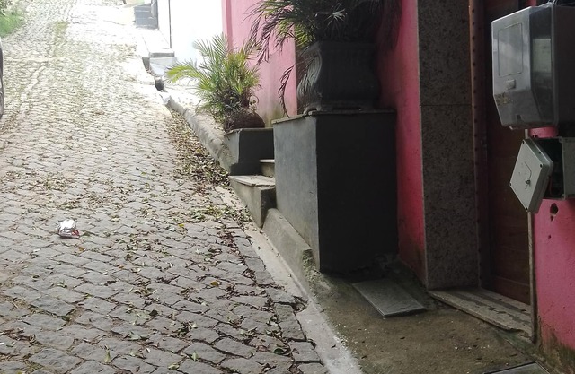 Geribá Casa Praia
