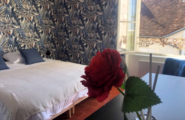 Gite 9 persons near BEAUVAL Zoo, Châteaux de la Loire, Pellevoisin