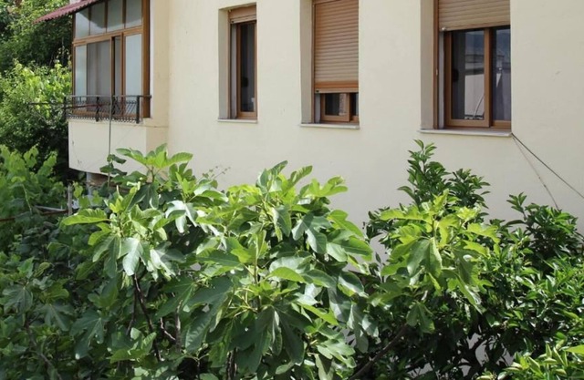 Gjirokastra Apartment