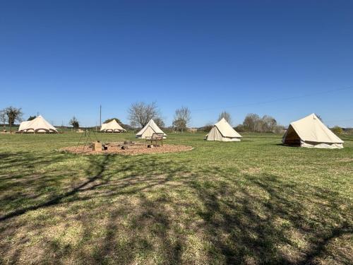 Glamping and Camping at The Orchard