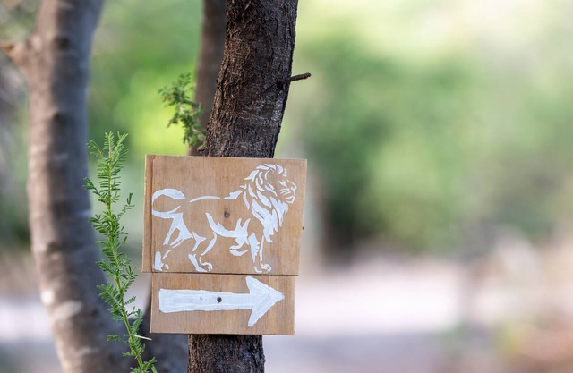 Glamping in comfort between Maun and Moremi