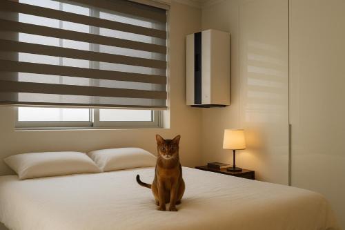 Glow House Seongsu A - Cozy and Brown Cat 외국인전용