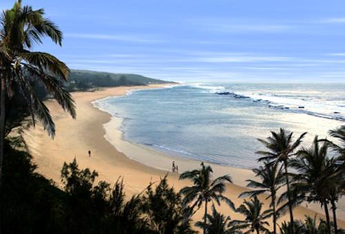 Go Wild Beach Resort