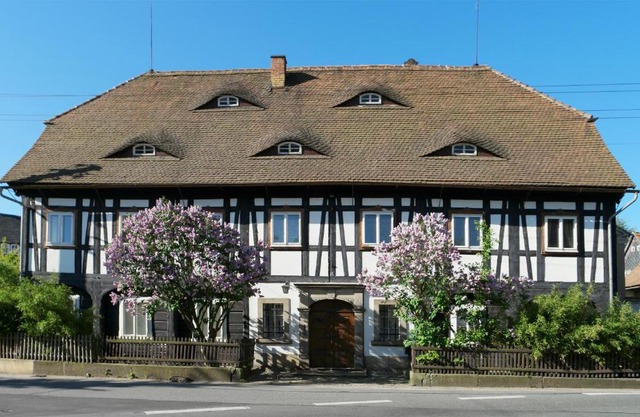 Goldberghaus Mauve