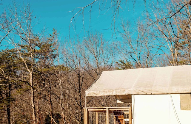 Goldfinch's Nest- Glamping Tent with AC