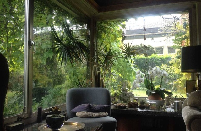 Good Atmesphere near City and Nature