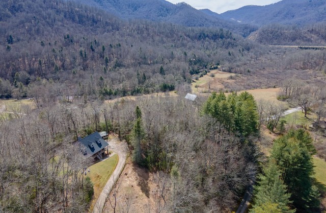 Gooseberry House- 3 Bd/2.5Ba just minutes from Standing Indian/Appalachian Trail