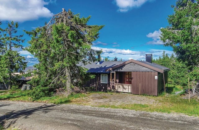 Gorgeous home in Sjusjøen with sauna