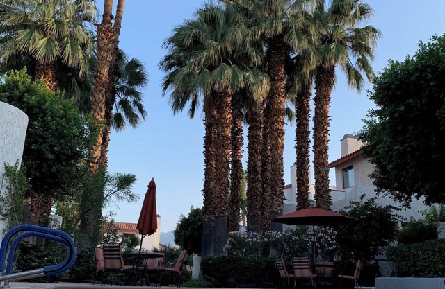 Gorgeous Long-Term Home in Downtown Palm Springs! Walk to Dining & Shopping