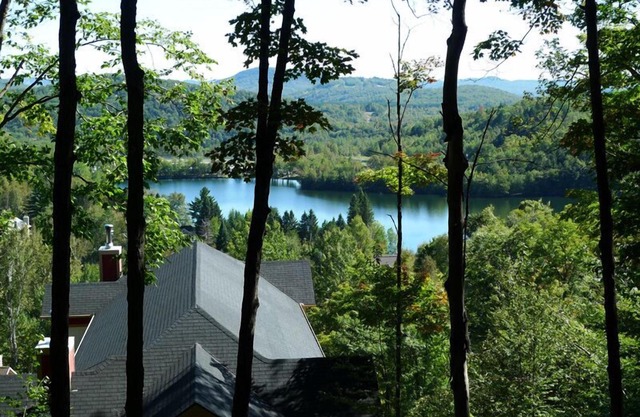 Gorgeous/Peaceful Cottage on the mountain with deers and birds.