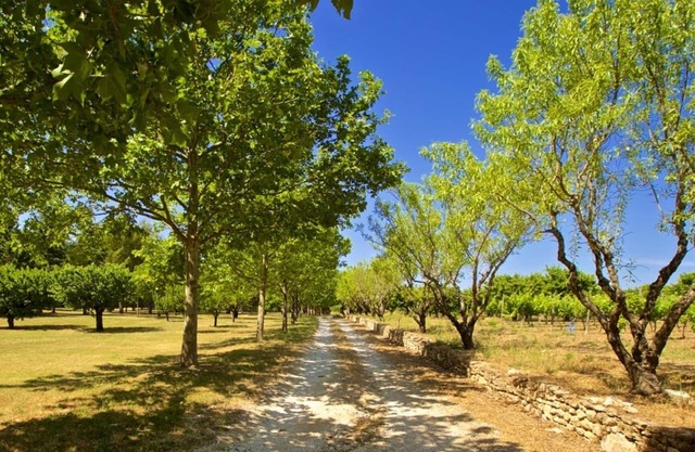 GRAND LUBERON A LARGE LUXURY VILLA IN THE BEAUTIFUL HILLTOP VILLAGE OF GORDES