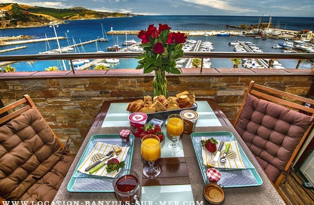 Grand Standing rental in Banyuls sur Mer