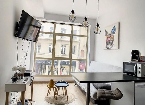 Grand Studio cosy spacieux centre-ville 4pers